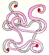 Knot22