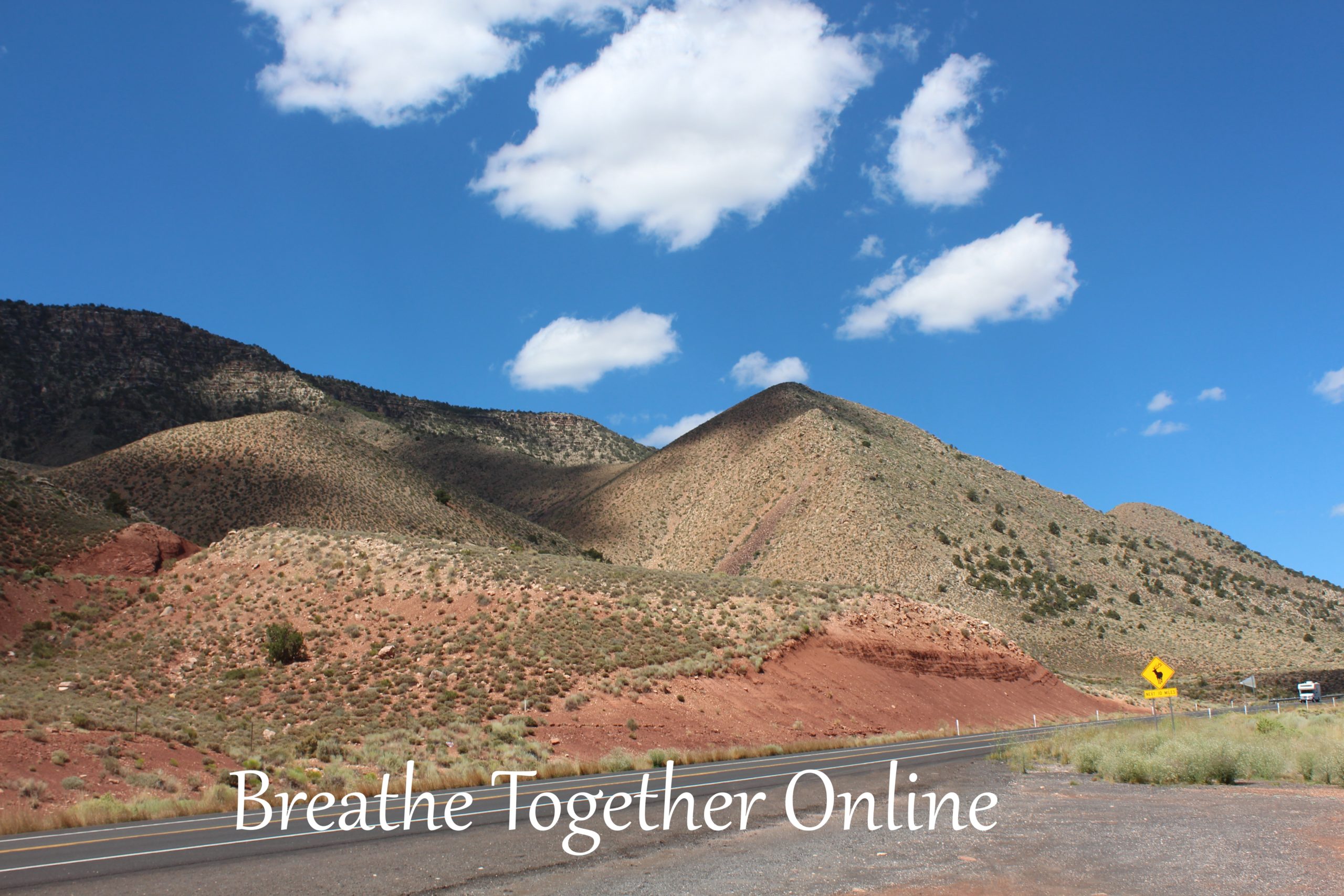 Breathe Together Online